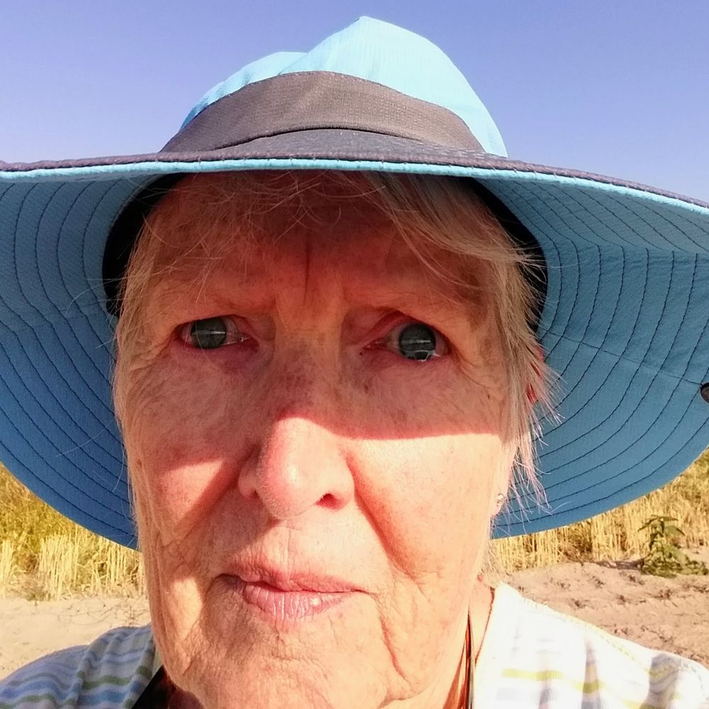Carol Tooley Collins