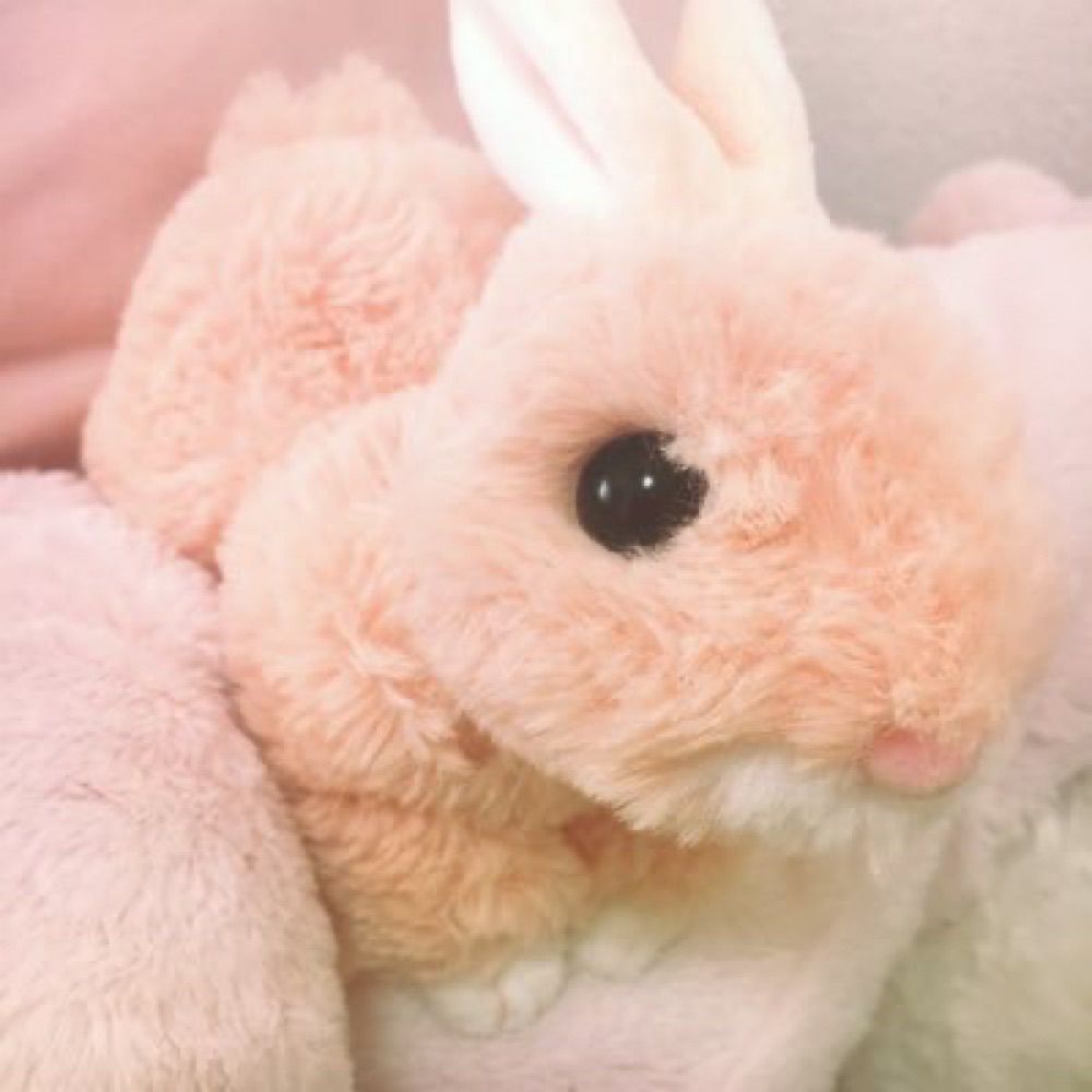 あいももざうるす