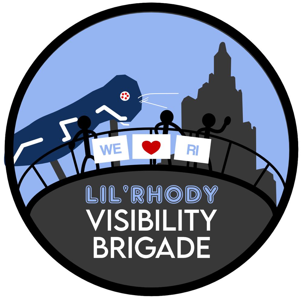 lilrhodyvisbrigade.bsky.social profile picture