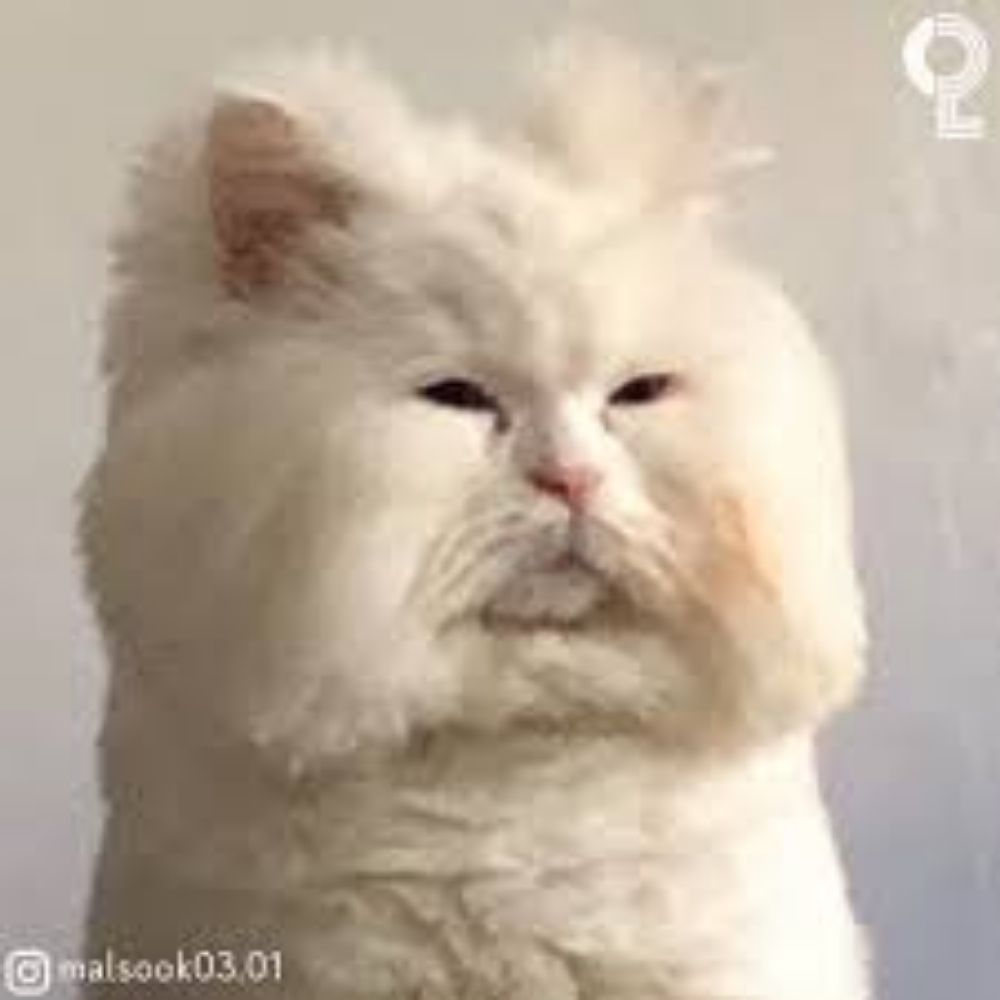 파숴