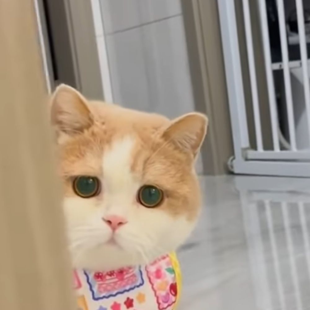 コペンさん