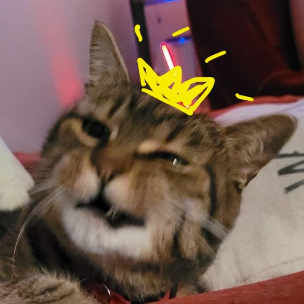 bea 🐷👑