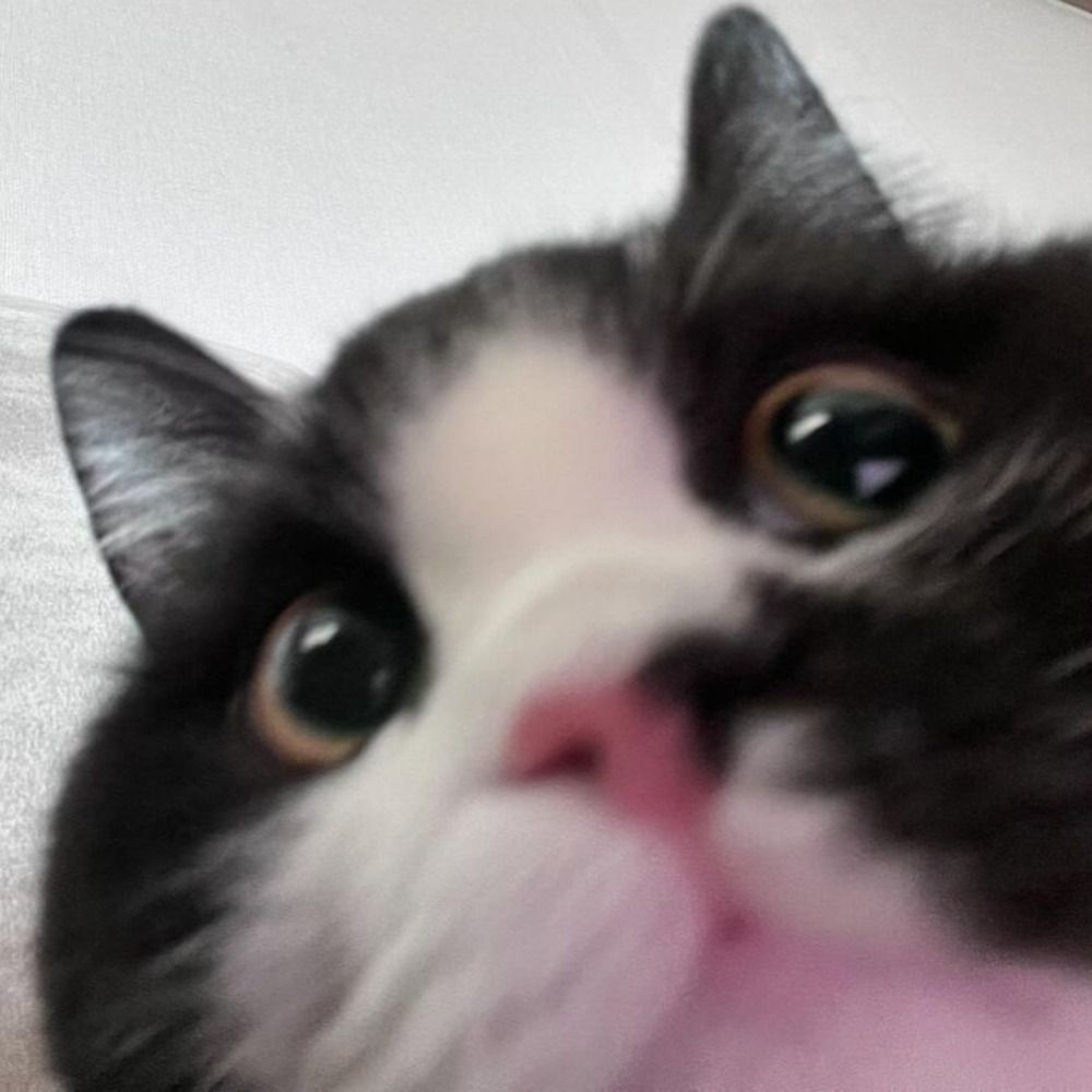 ju