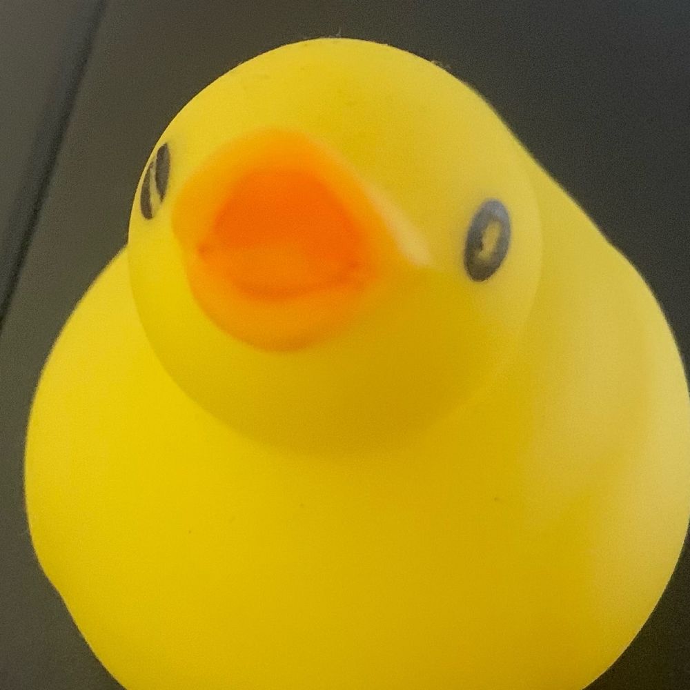 かじたくんですよ🐥