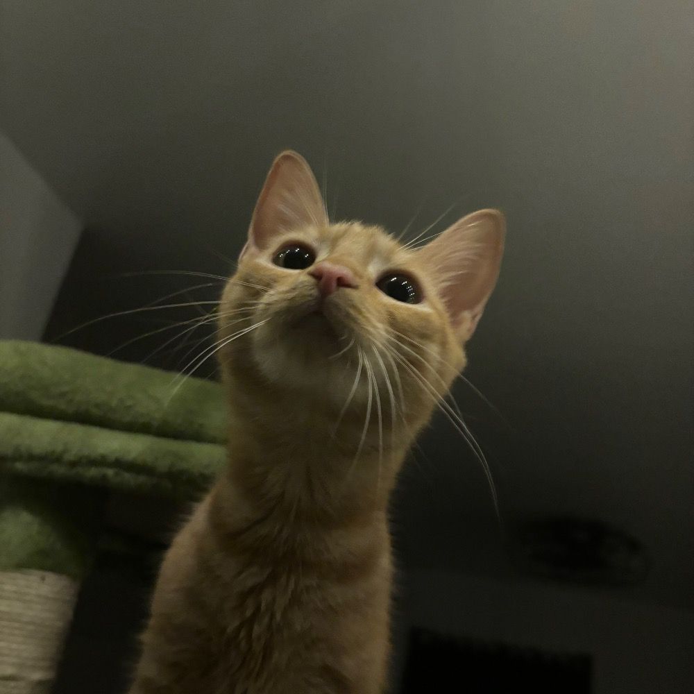 wes