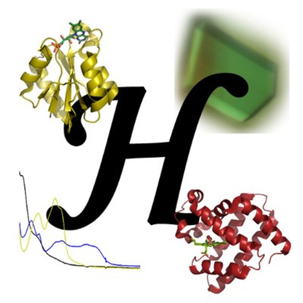 Hersleth Lab