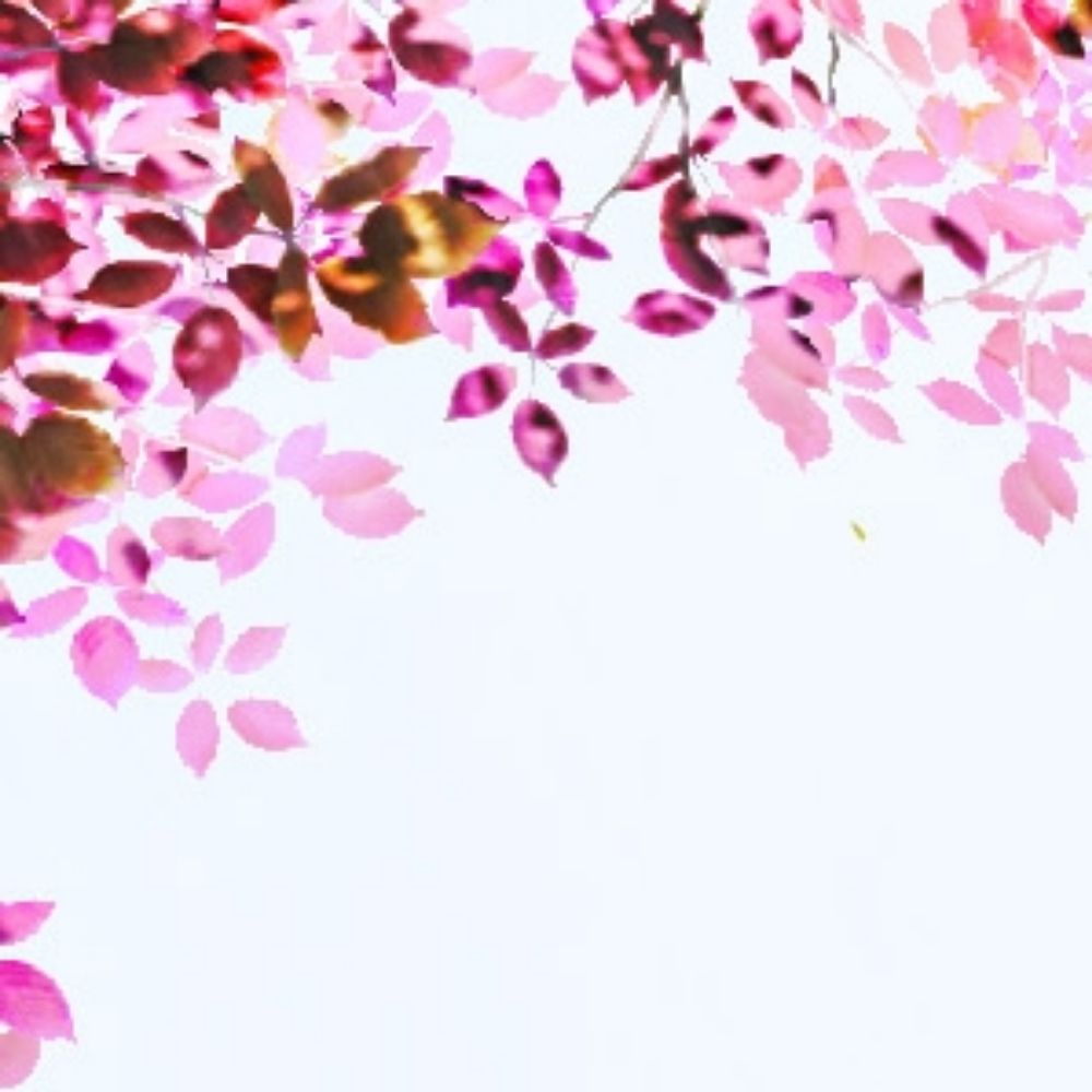 𝙝𓅫
