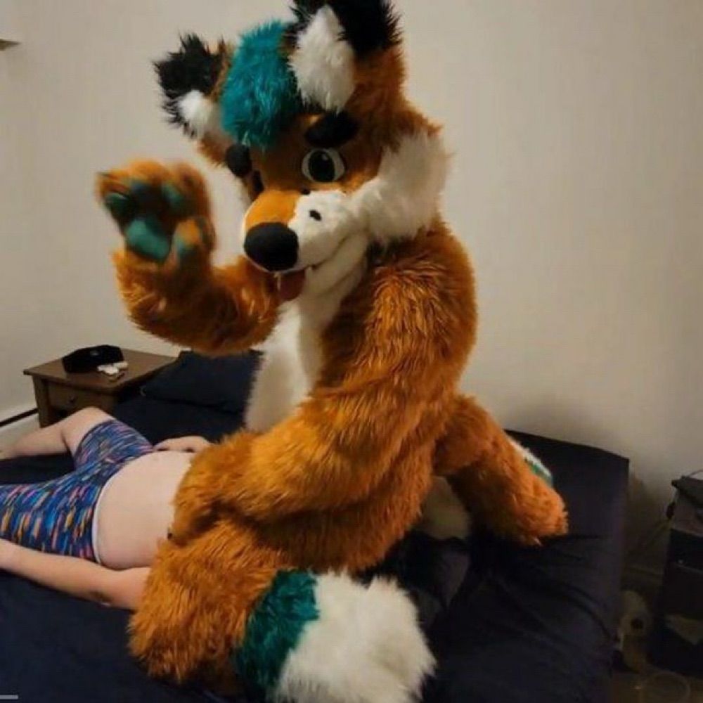 The stinkiest fox 🇨🇦