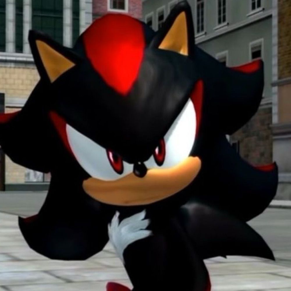 Daily Shadow The Hedgehog