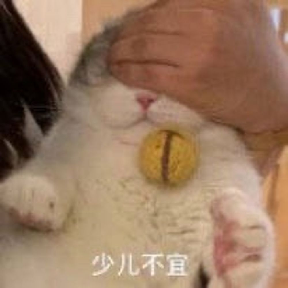 琪琪｜Keiseiiiiii