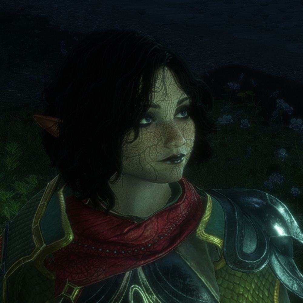Rain is Camping in Thedas