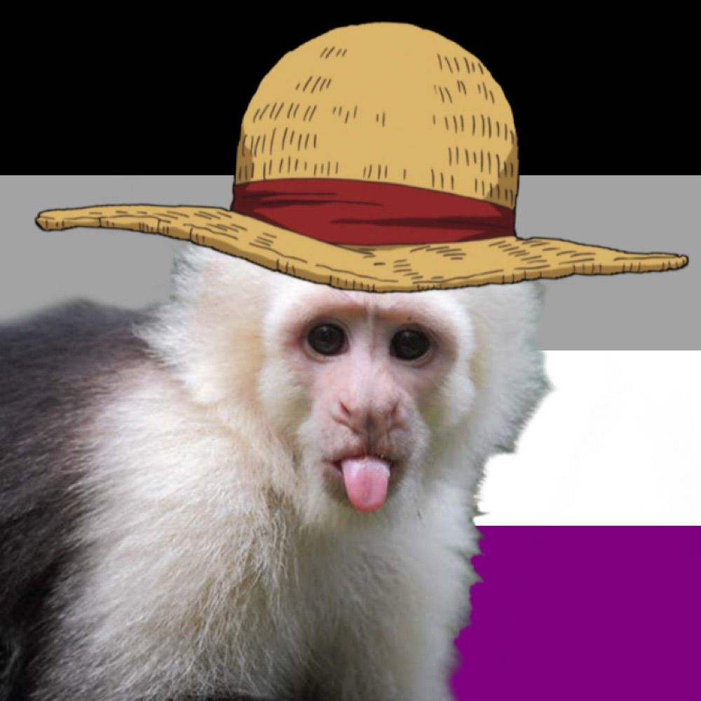 RubberMonkey
