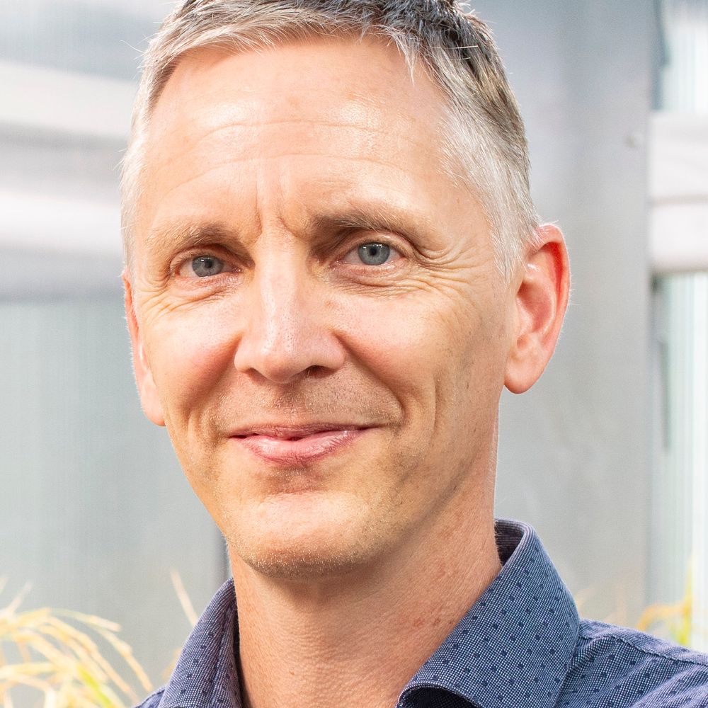 Jonne Rodenburg