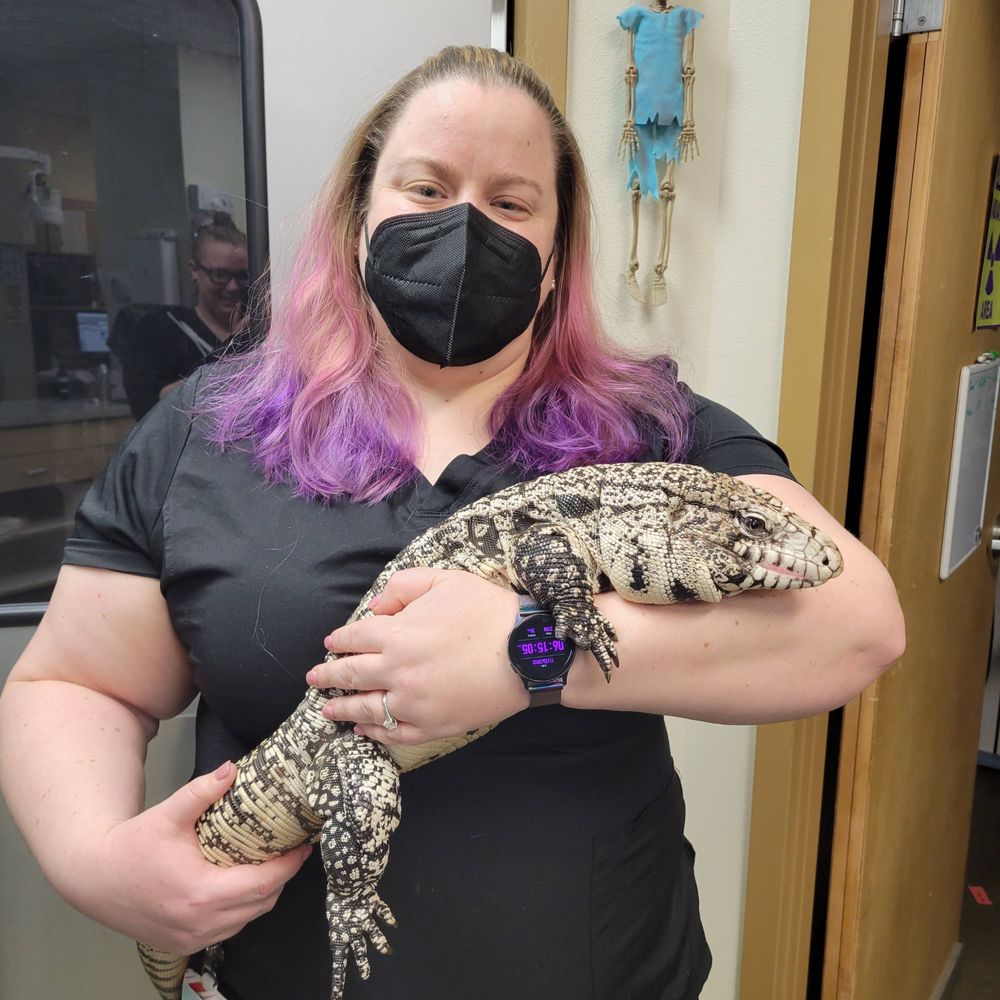Lizard Hyde