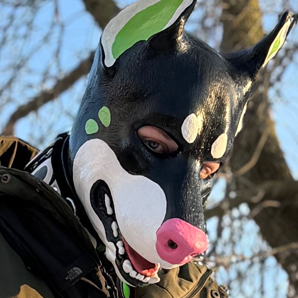 Pup Oreo 🔜 CUM DRIVE