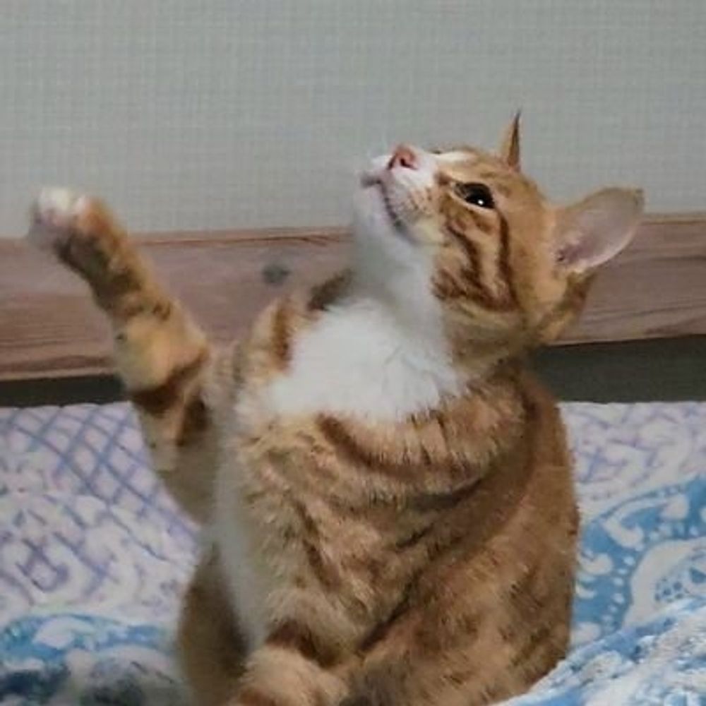 면수