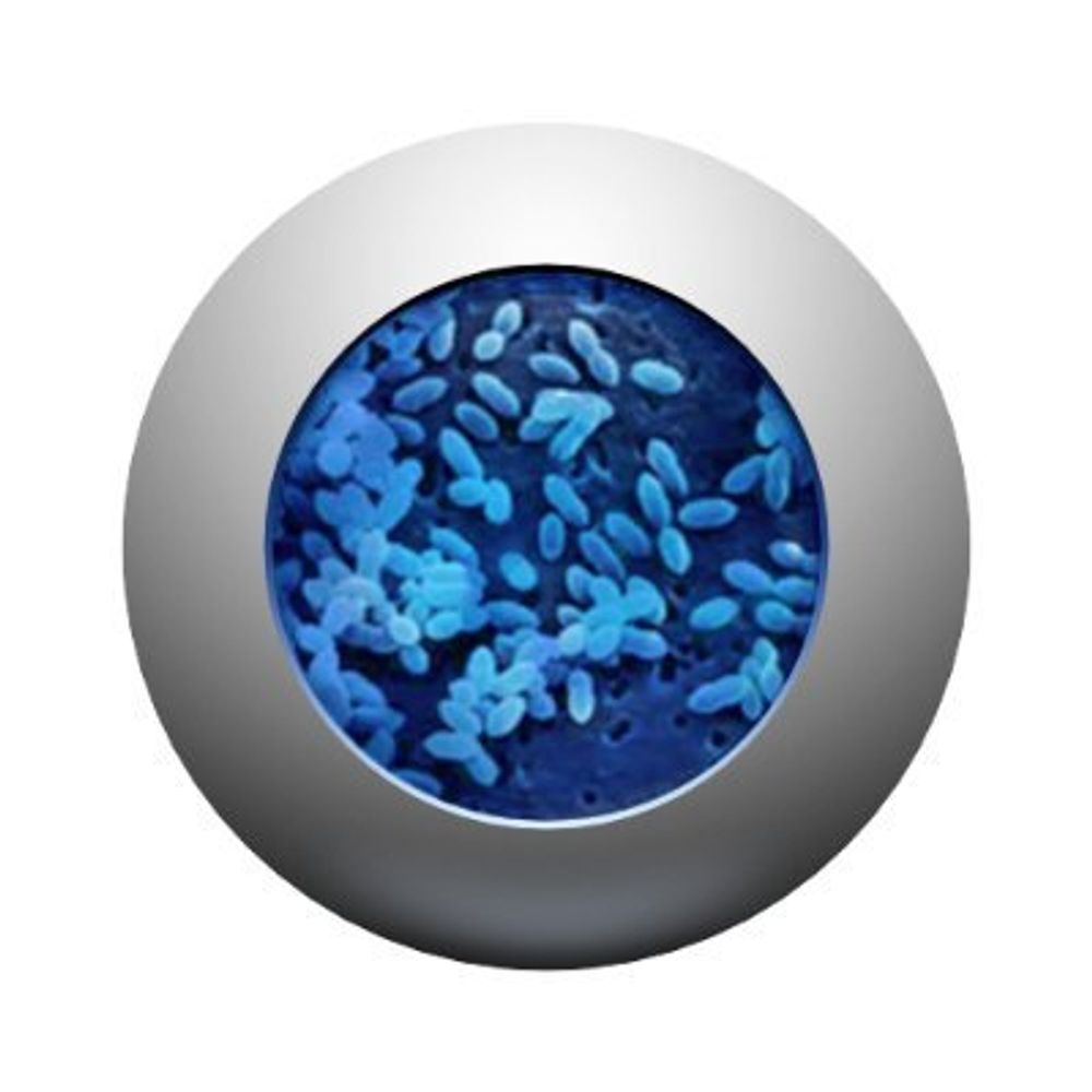 Global Pneumococcal Sequencing Project 