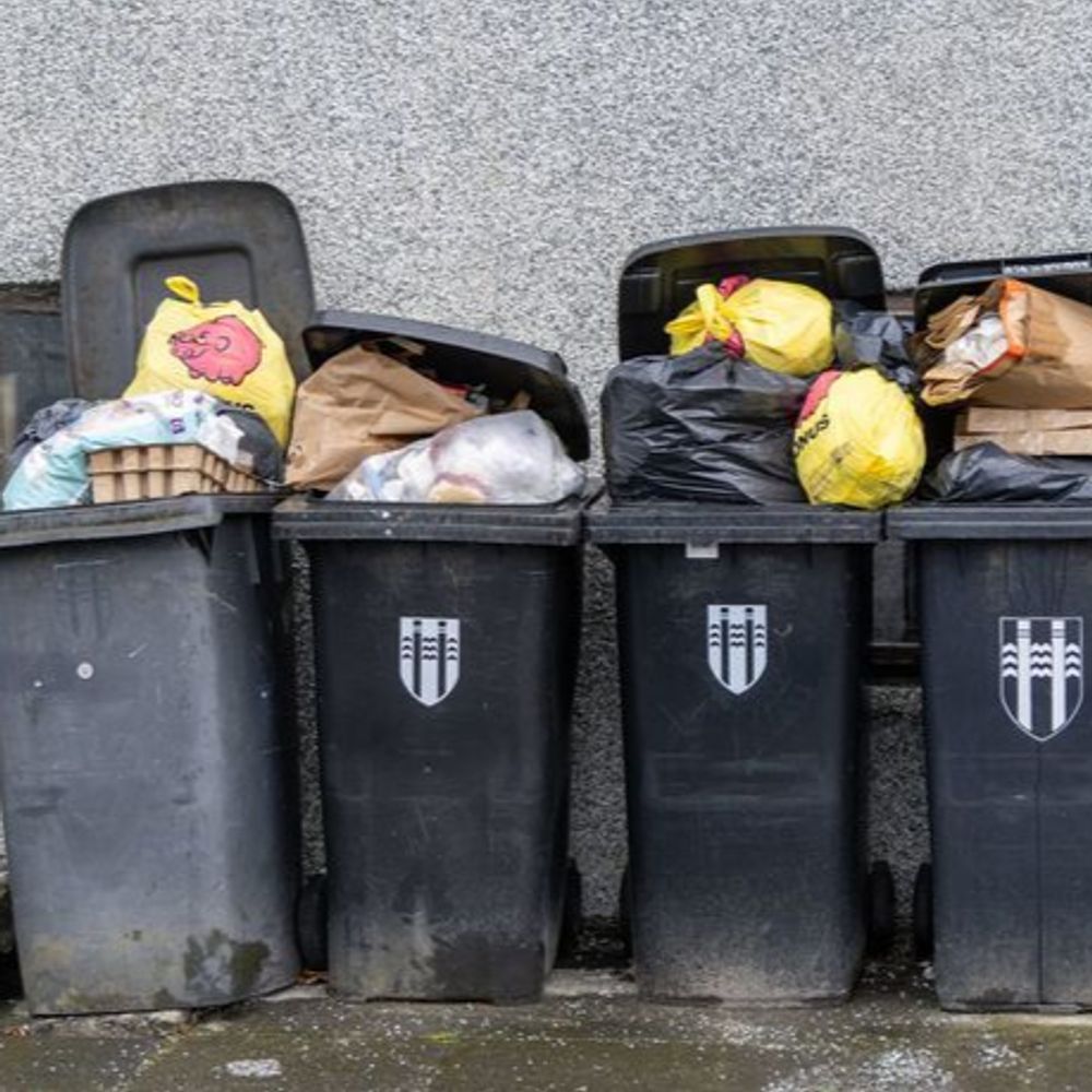 CCP TrashMob