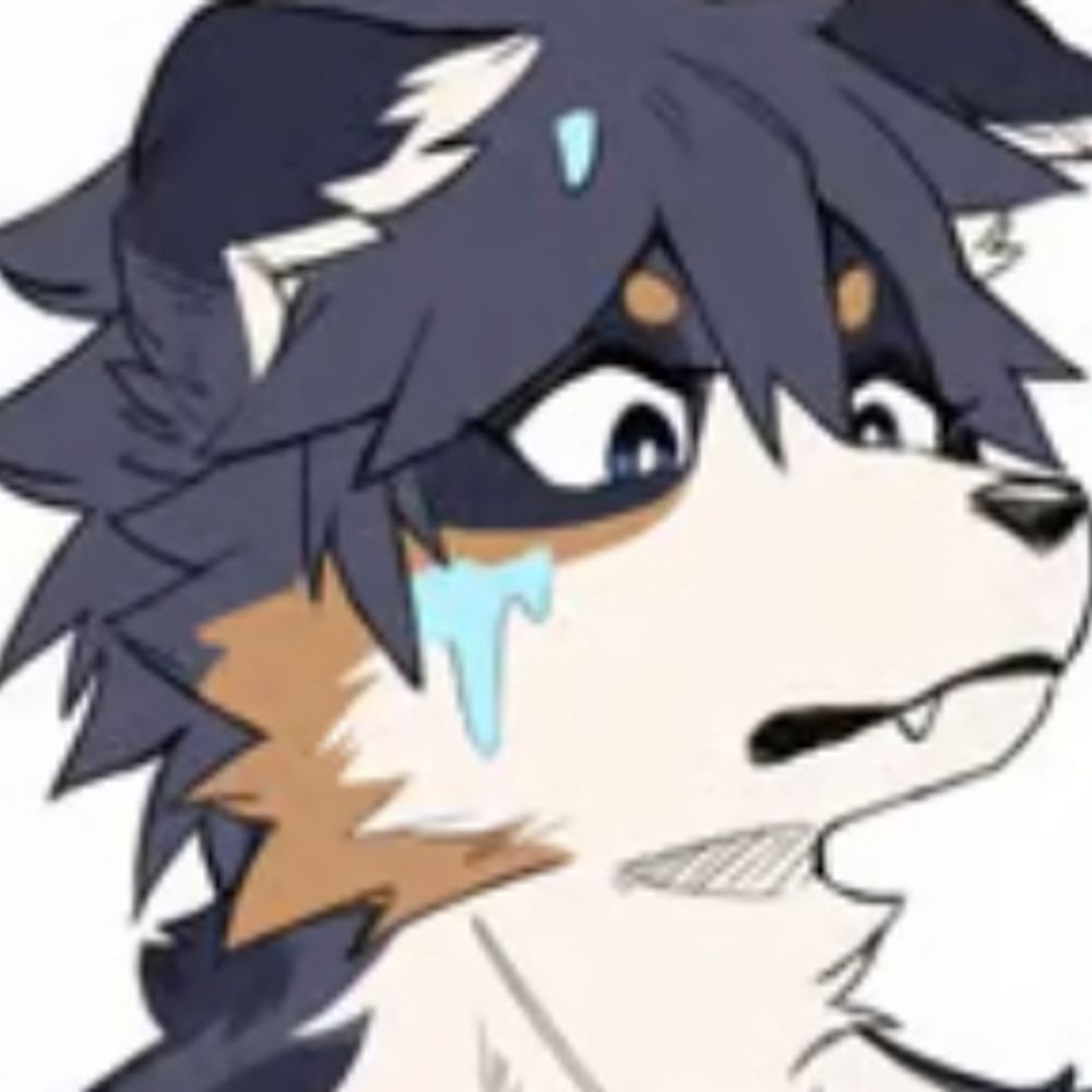 J the furry