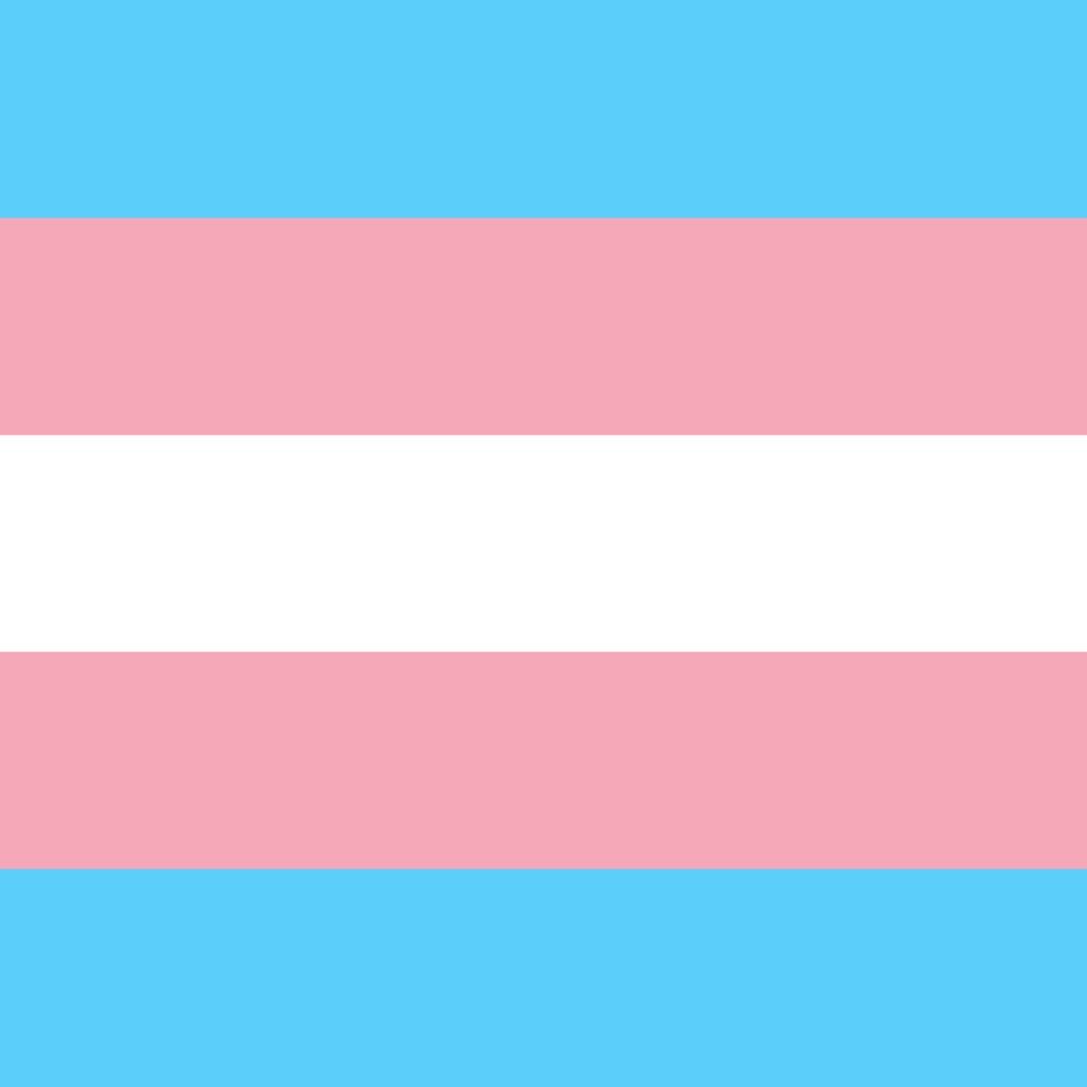 TCLA: Trans Chorus of L.A.