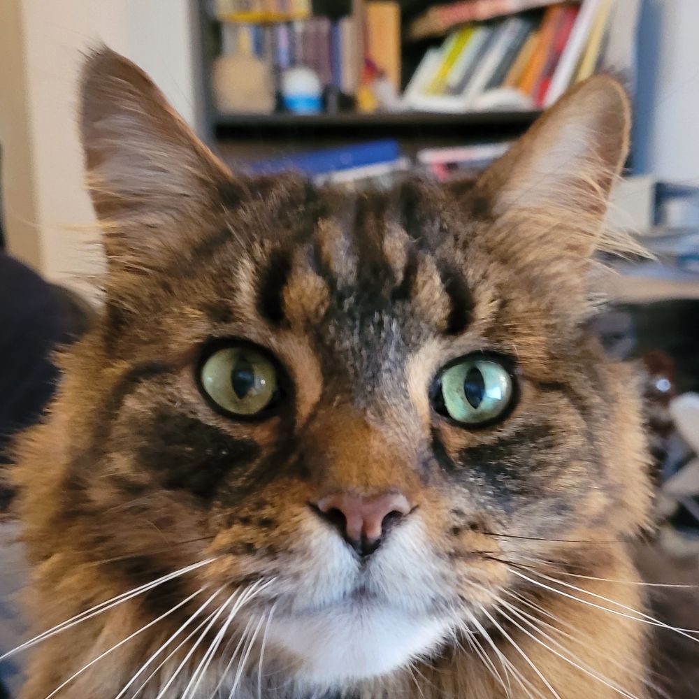 Phunkyphee