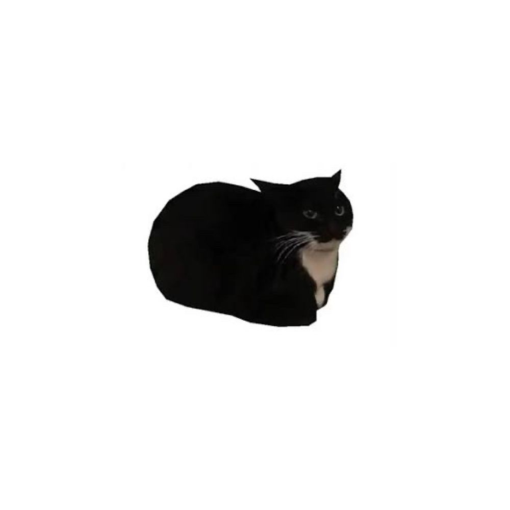 ましろーてゃ