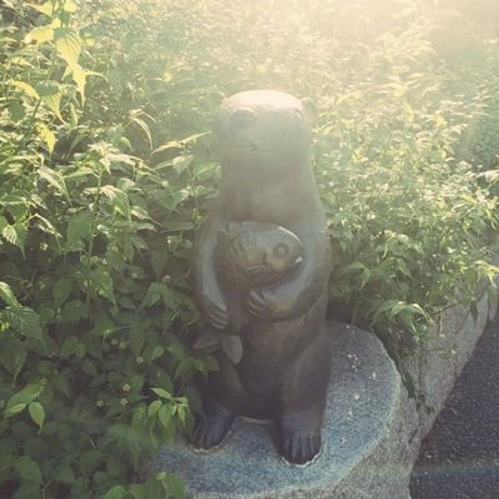 M/江邑今日子🍶