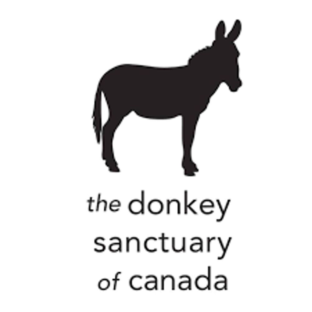 The Donkey Sanctuary of Canada
