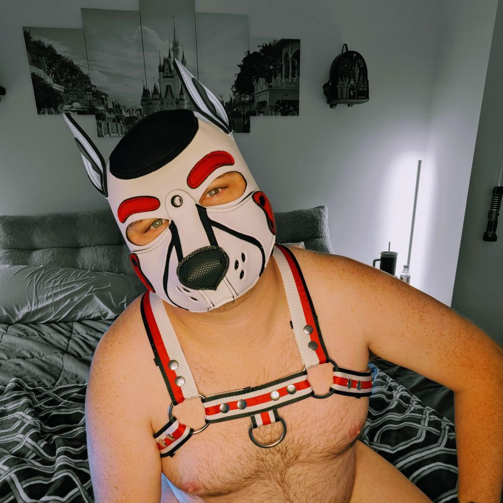 Pup Patch