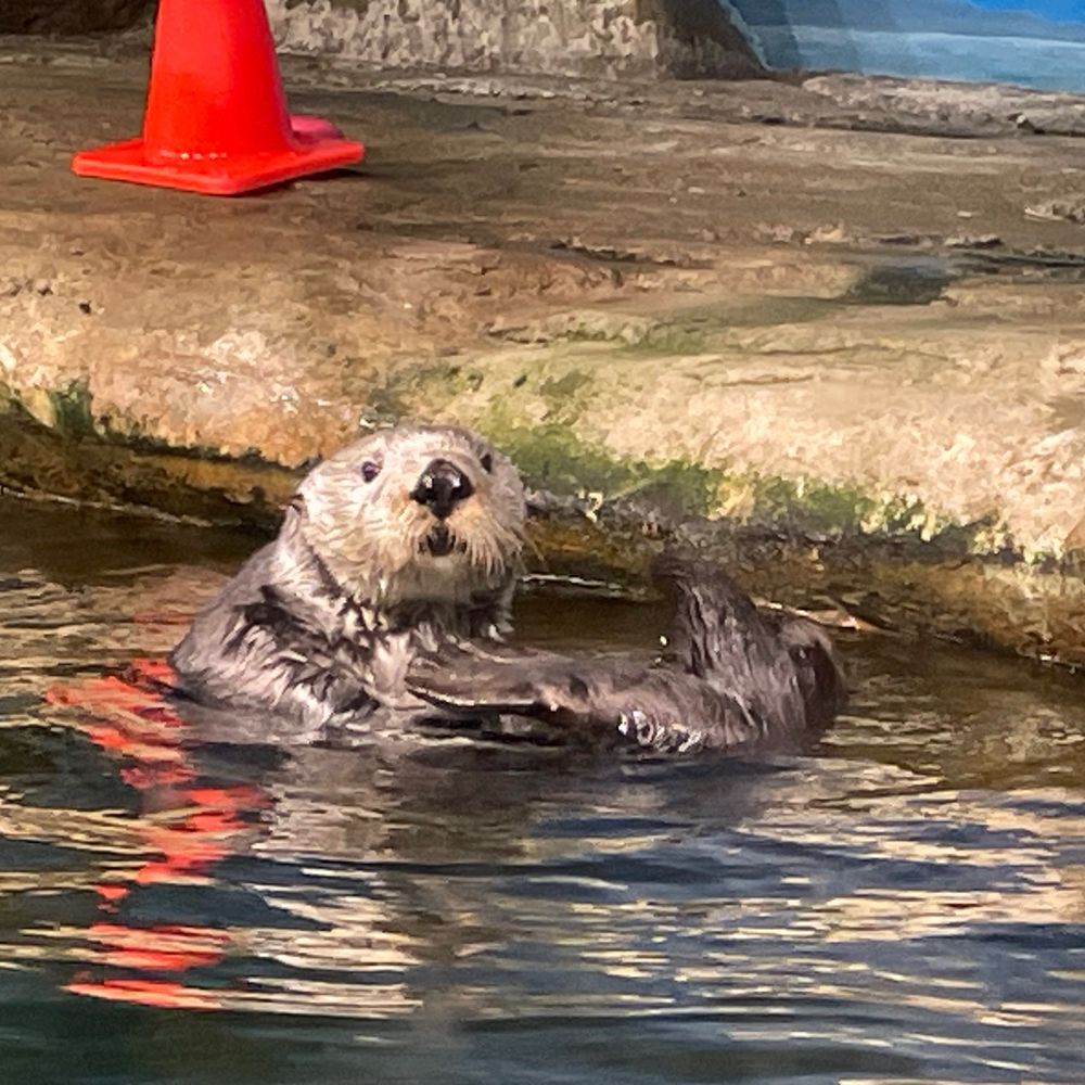 湯上