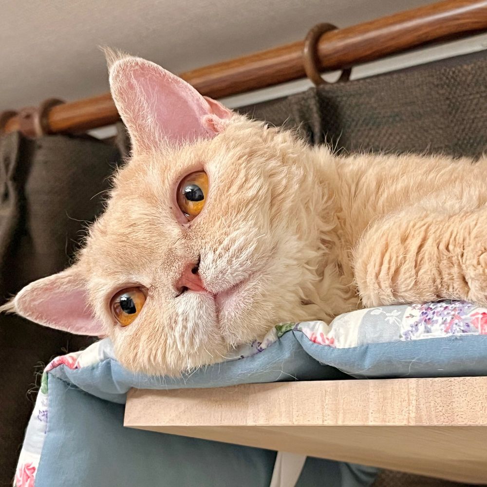みっつん