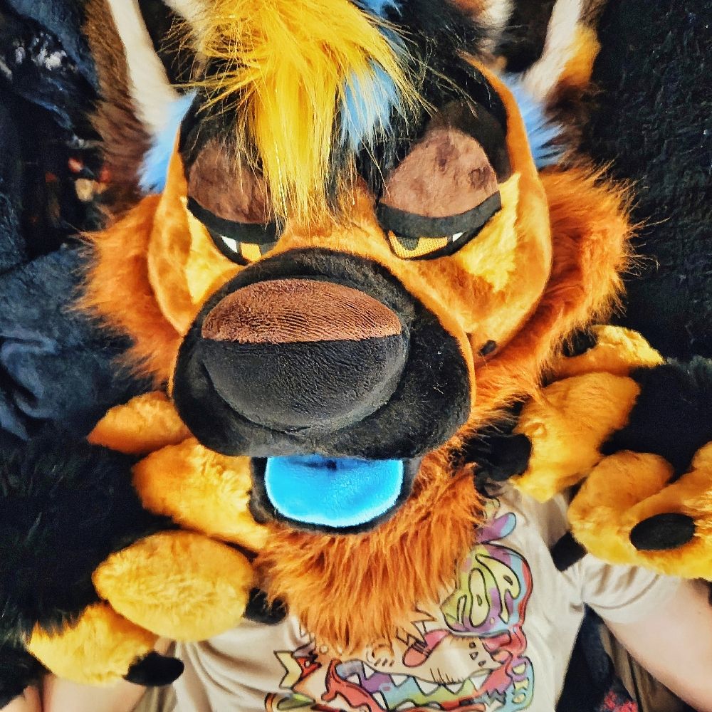 chat shep 🔜 bfc