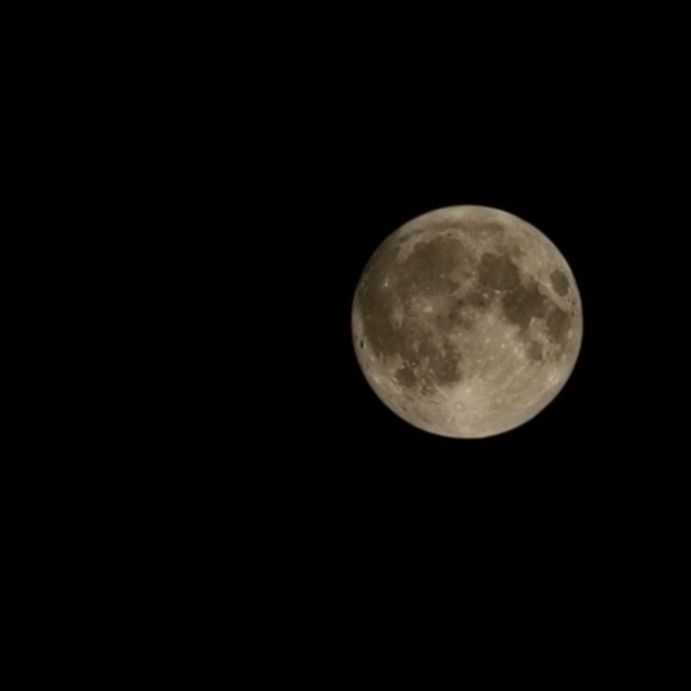 شکارچی شب🌑