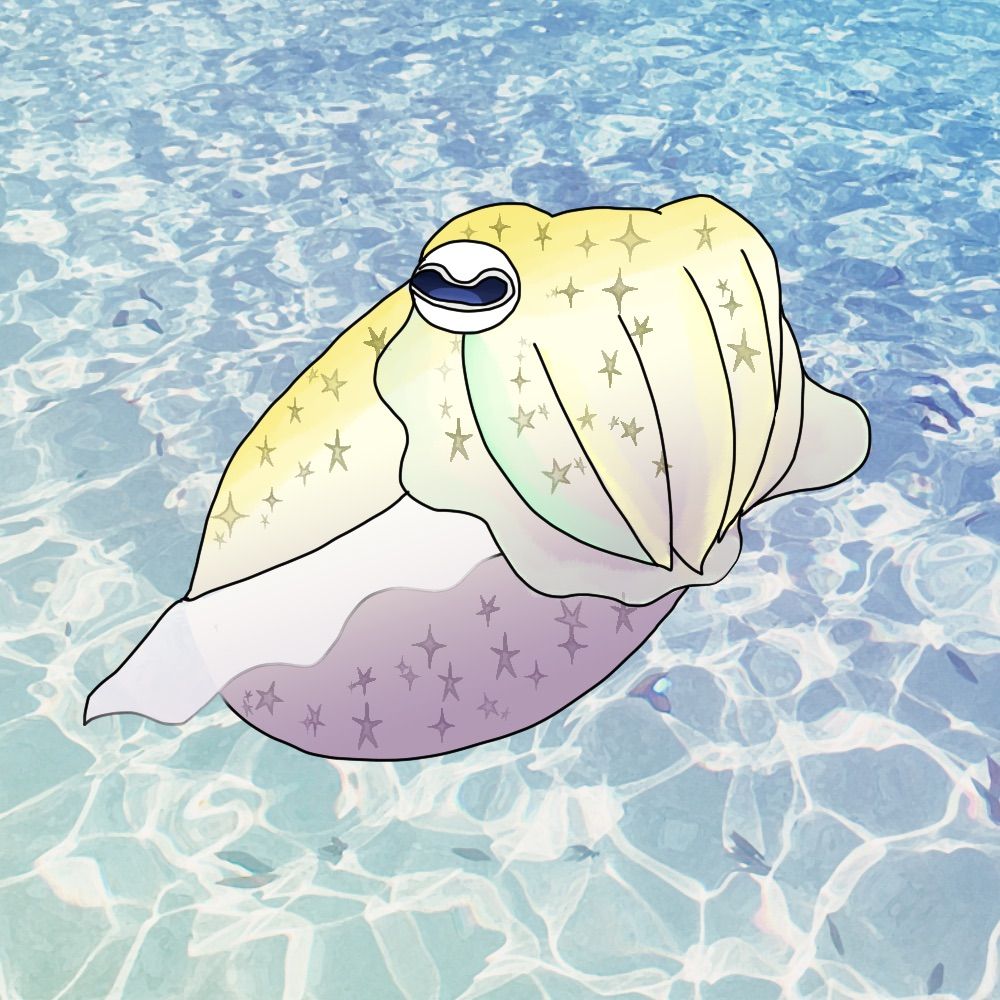 瀬戸香