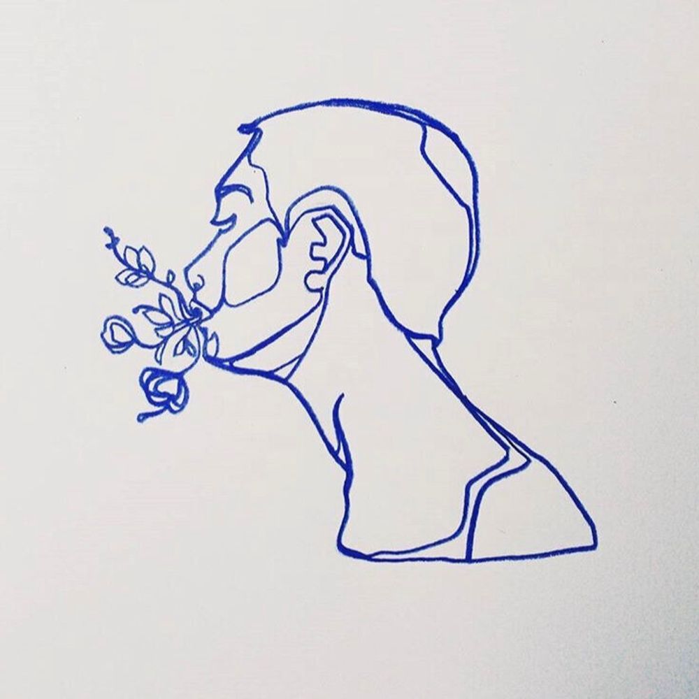 the tiny