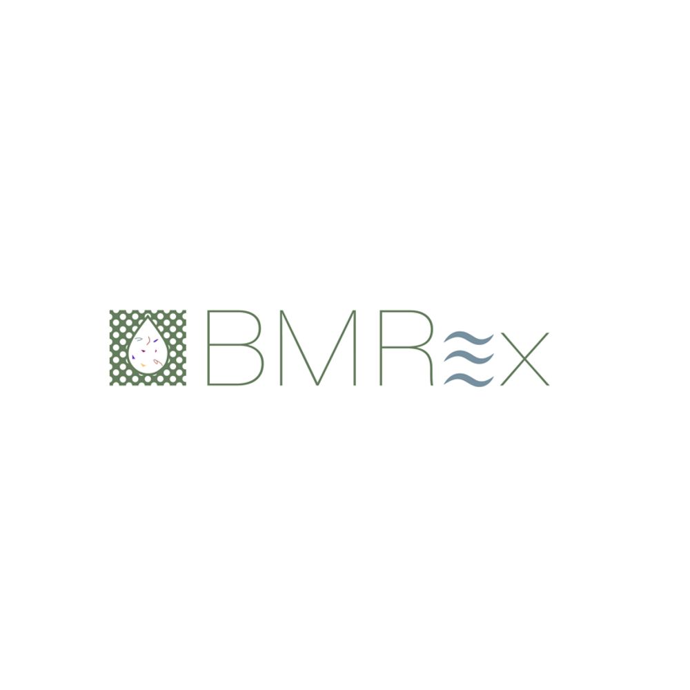 BMRex EU project