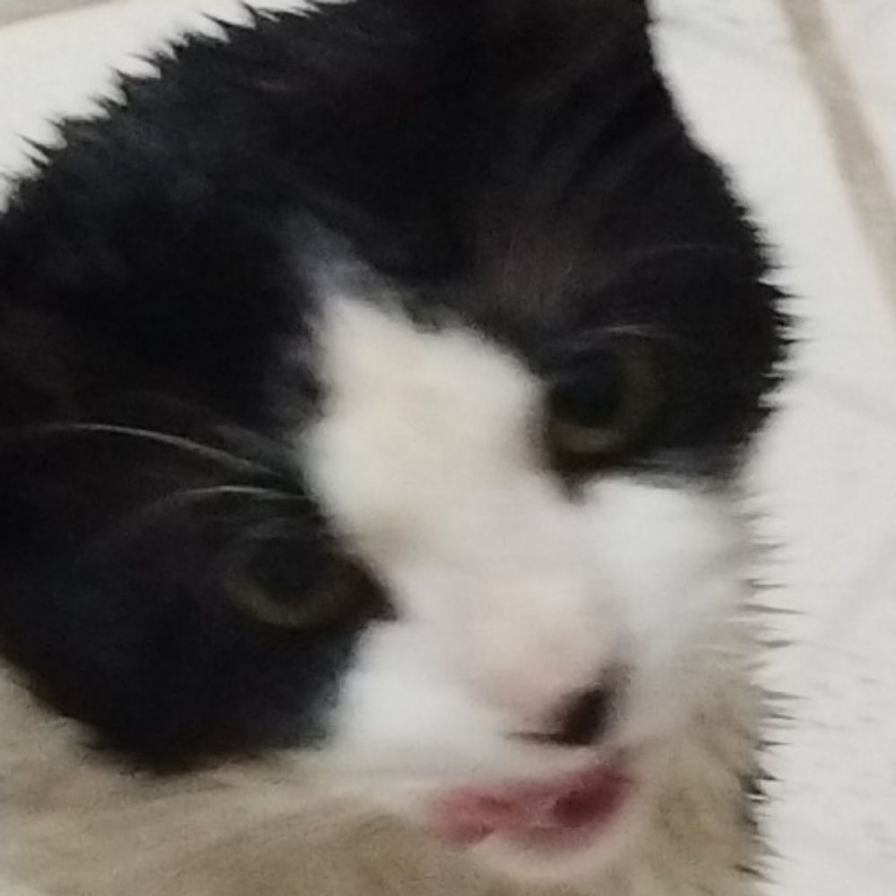 mrlz