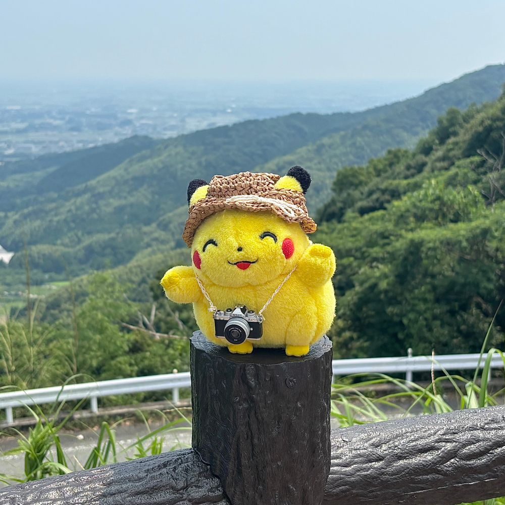 ぽけり