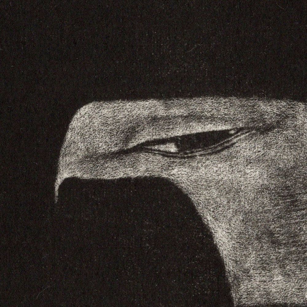 鳥彦