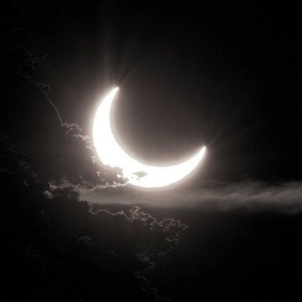 Luna 🤍🏵🌕