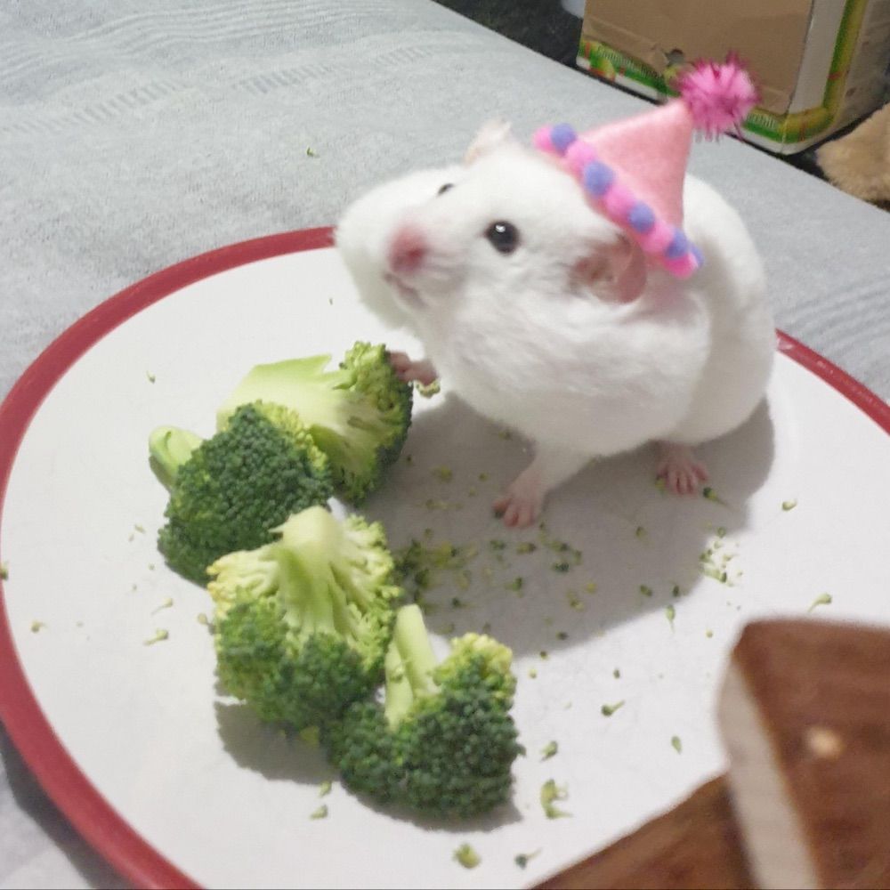 tiny_portions_