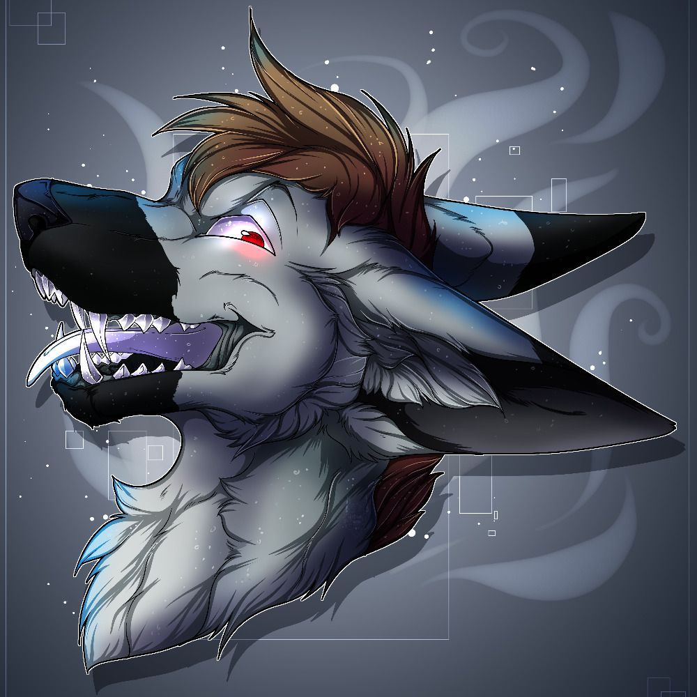 ReavvFox