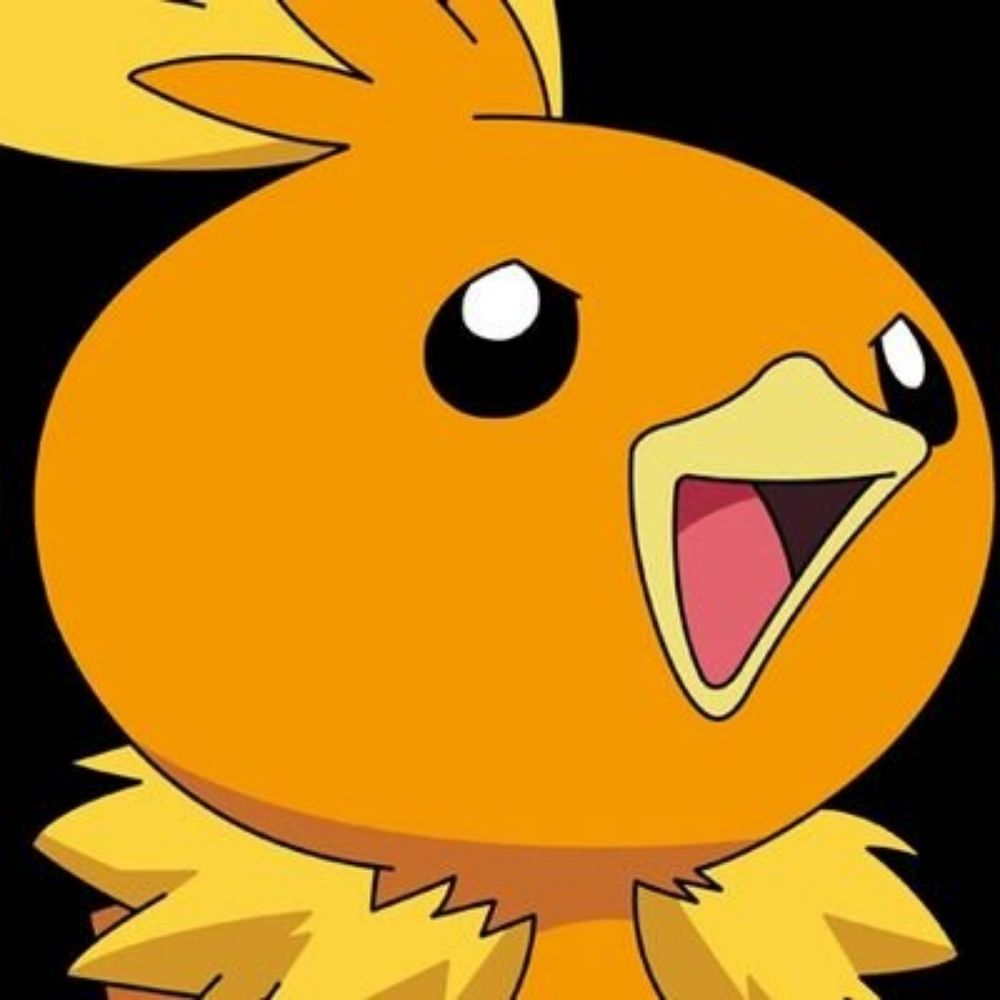 Level 99 Torchic