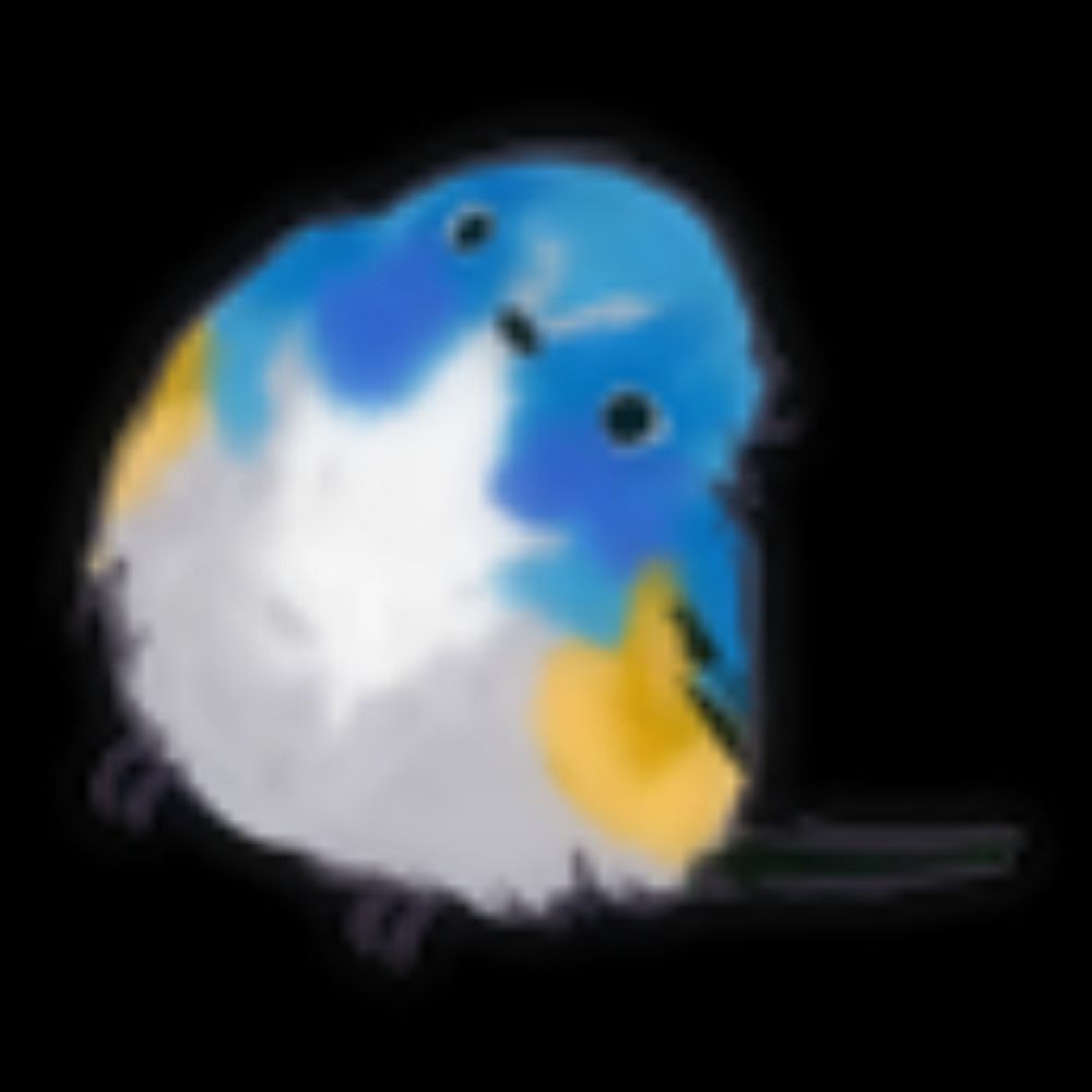 しゃてっど(どね)