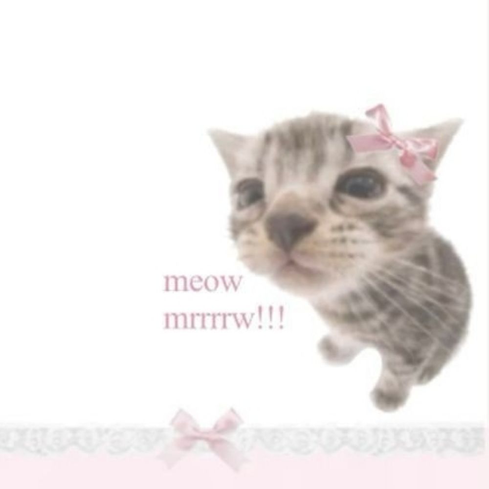 ManuELLA૮꒰ྀི∩´ ᵕ `∩꒱ྀིა