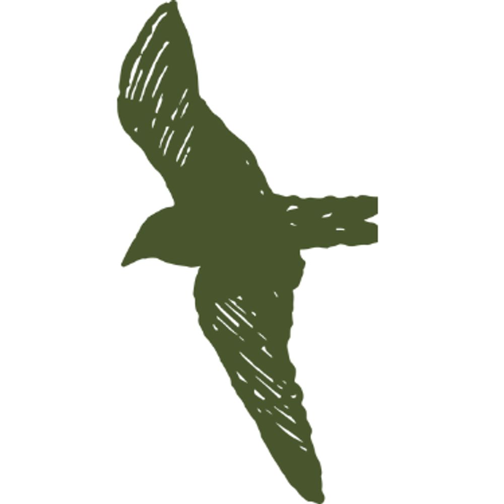 Lawyers For Nature