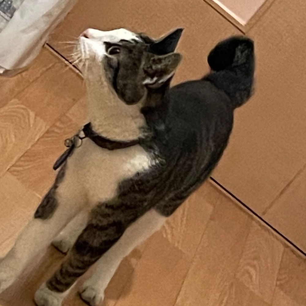おっ様
