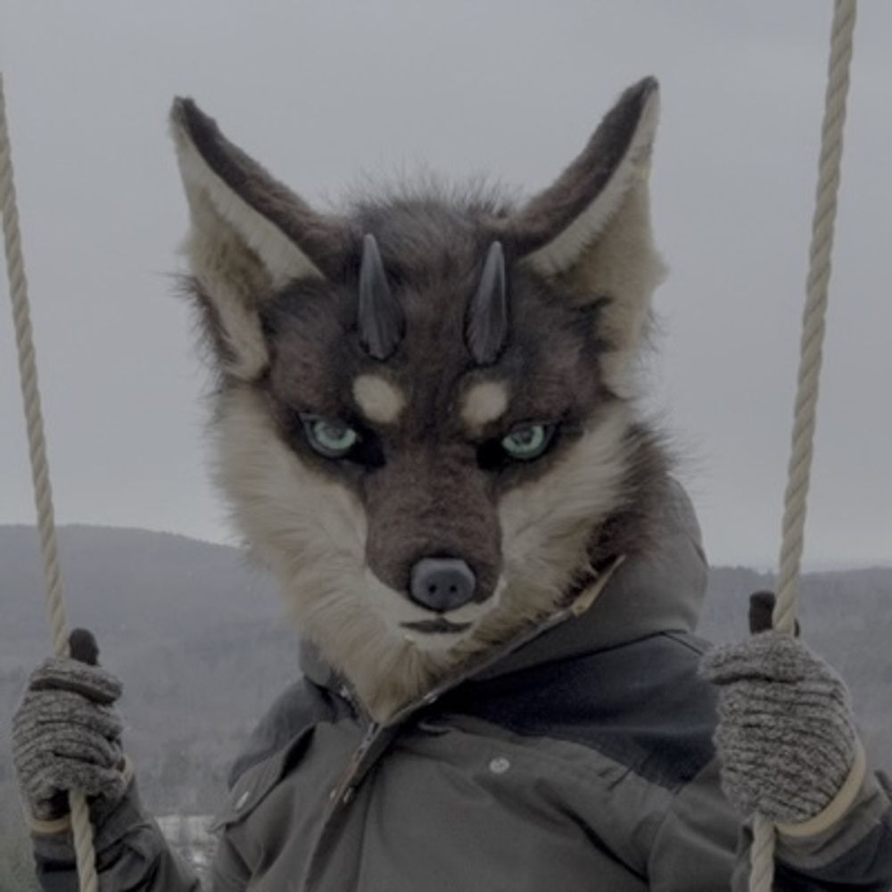 Fox :symbol_otherkin: