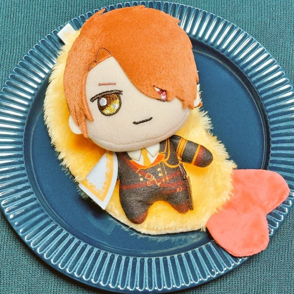 箒🧹(ハキ)宅のぬいさん