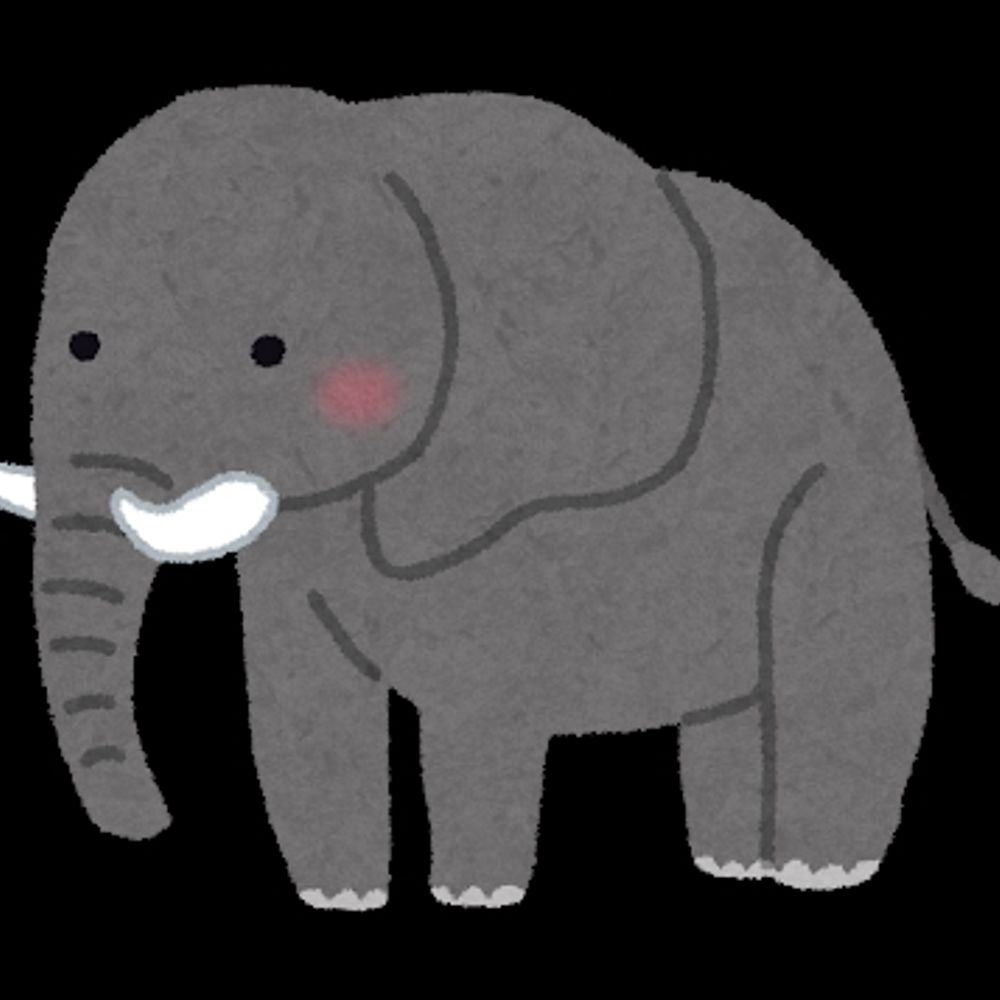 アフリカゾウ